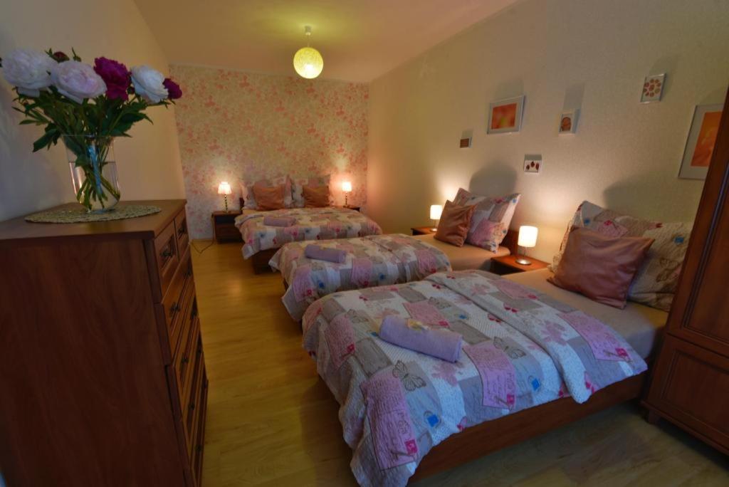 Apartmány Braníčkov Exterior foto